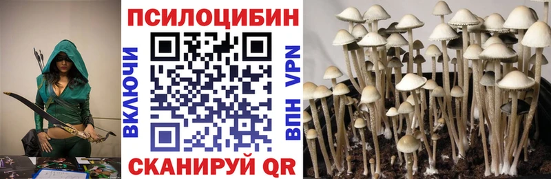 Купить где  Болхов  Псилоцибиновые грибы ЛСД 